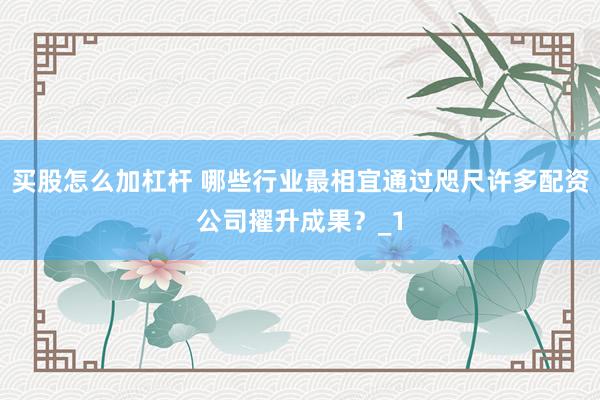 买股怎么加杠杆 哪些行业最相宜通过咫尺许多配资公司擢升成果？_1