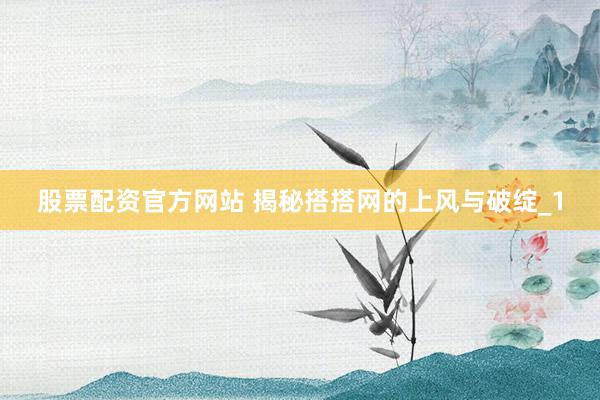 股票配资官方网站 揭秘搭搭网的上风与破绽_1