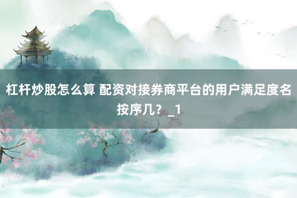 杠杆炒股怎么算 配资对接券商平台的用户满足度名按序几？_1